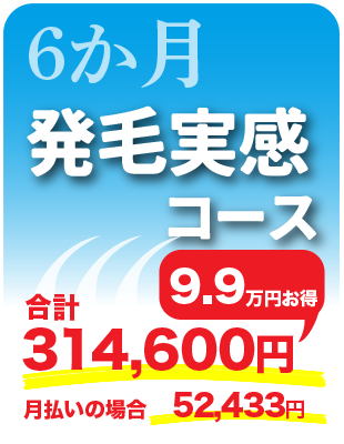 6ヶ月発毛実感コース9.9万円お得合計314,600円月払いの場合52,433円