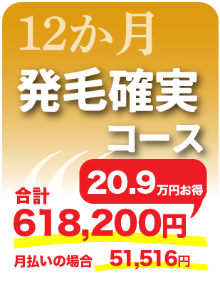 12ヶ月発毛確実コース20.9万円お得合計618,200円月払いの場合51,516円