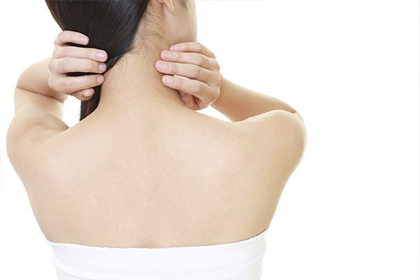 モデルイメージ