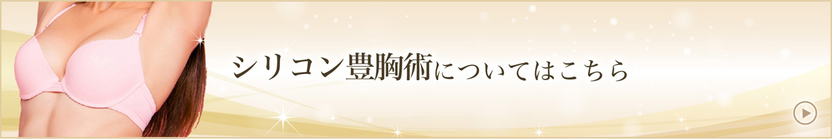 シリコン豊胸術について詳しくはこちら