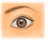 三角のようなゆがんだ目