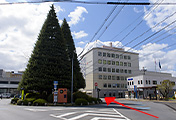 本八戸駅からの道順・動画3
