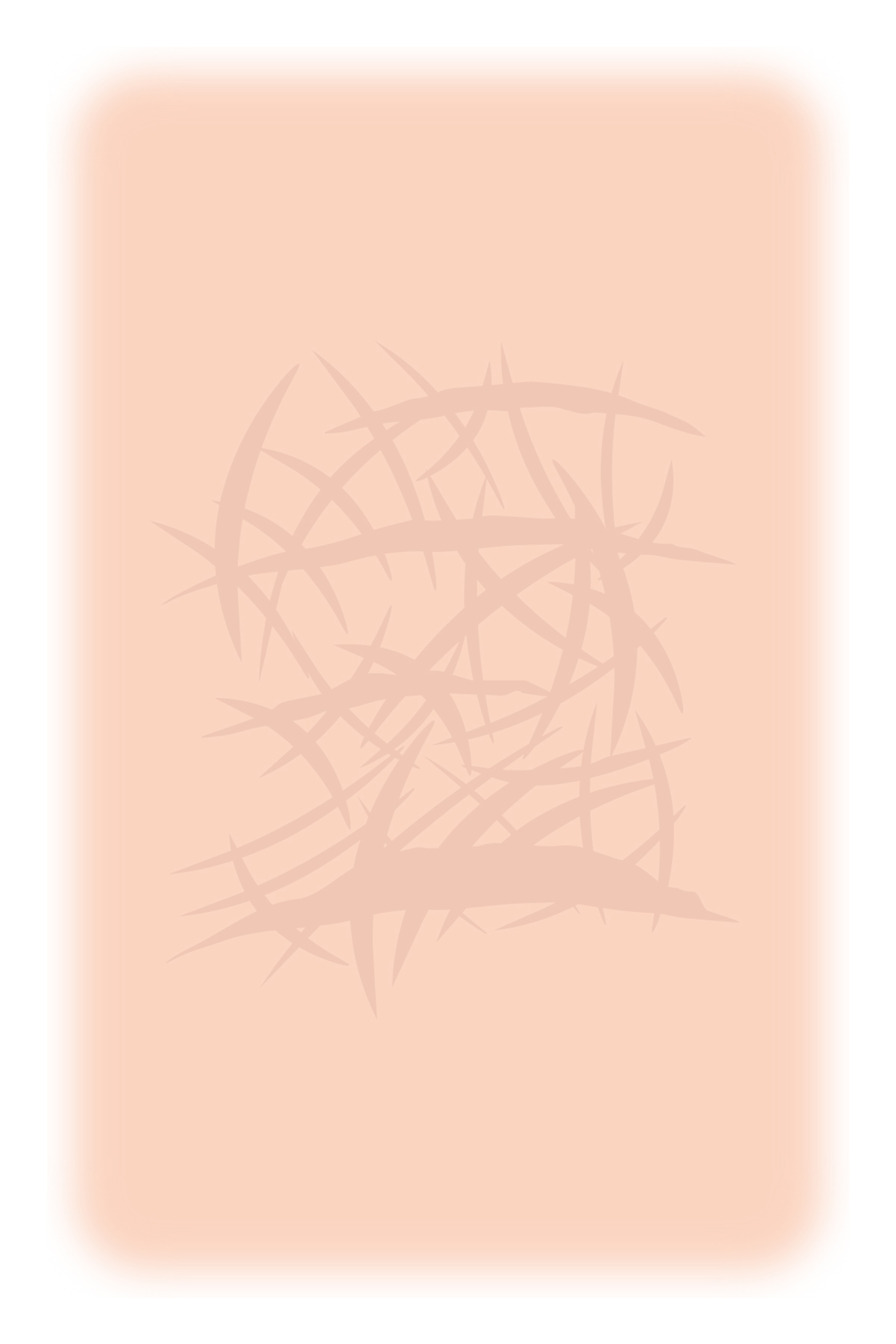 リストカット植皮2